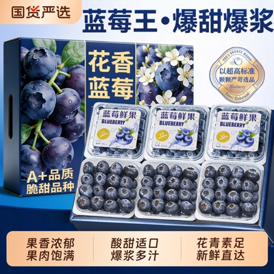 云南蓝莓高山L25花香新鲜水果当季现摘脆甜大果鲜果旗舰店顺丰
