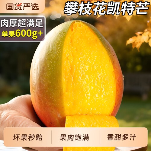 正宗凯特芒当季现摘|千人加购