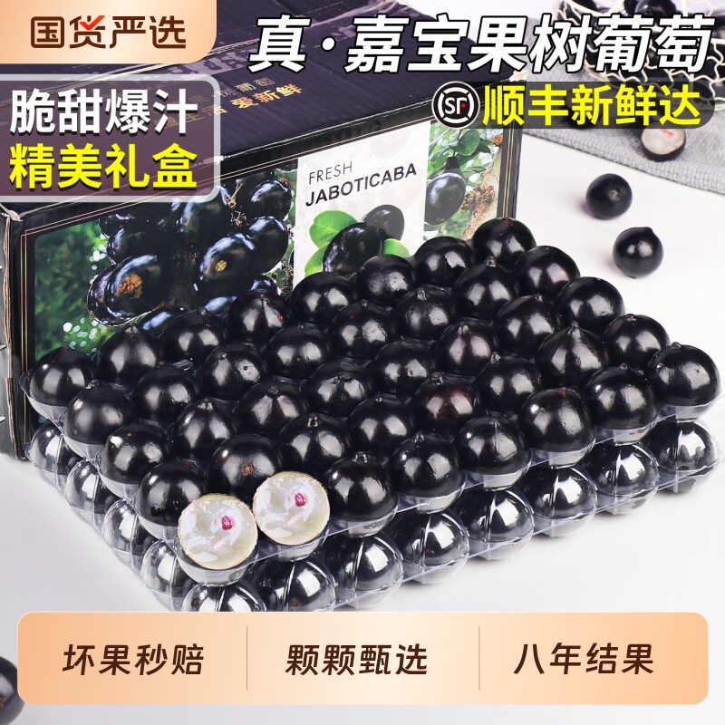 顺丰速达嘉宝果树葡萄当季新鲜水果优选提子大果整箱包邮礼盒装