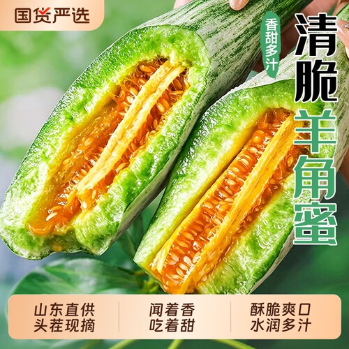 正宗潍坊羊角蜜！闻着香！吃着甜