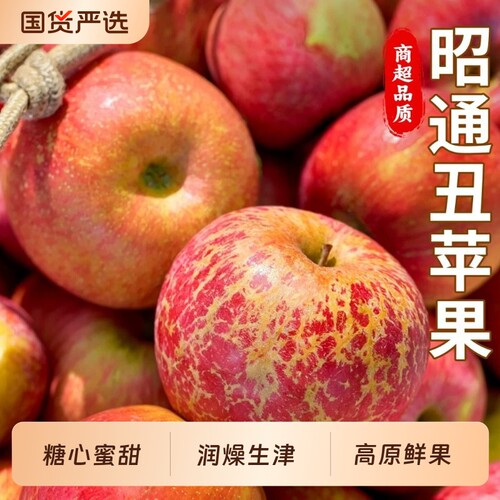 昭通丑苹果水果脆甜多汁整箱9斤
