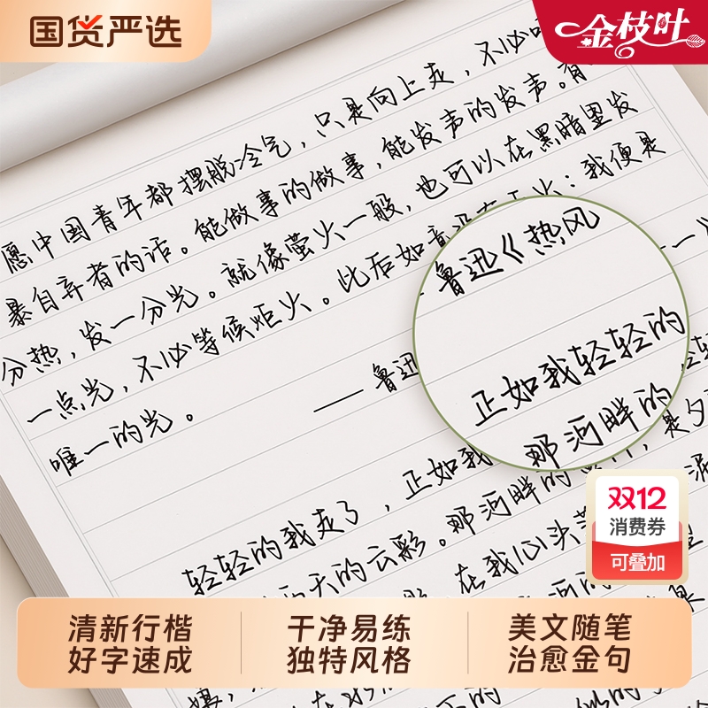 行楷临摹手写体练字帖成人速成