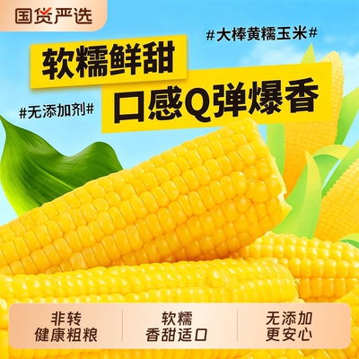 开源保丰正宗东北黄糯玉米非转基因无添加真空加热即食糯玉米香甜