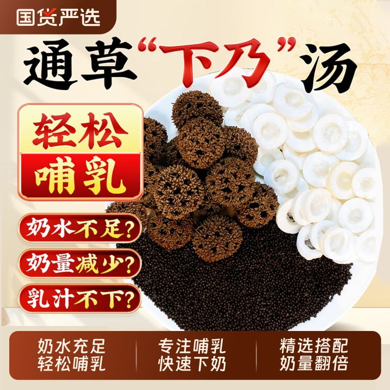 大通草王不留行路路通通乳下奶汤六宝水哺乳期追奶汤无花果干下奶