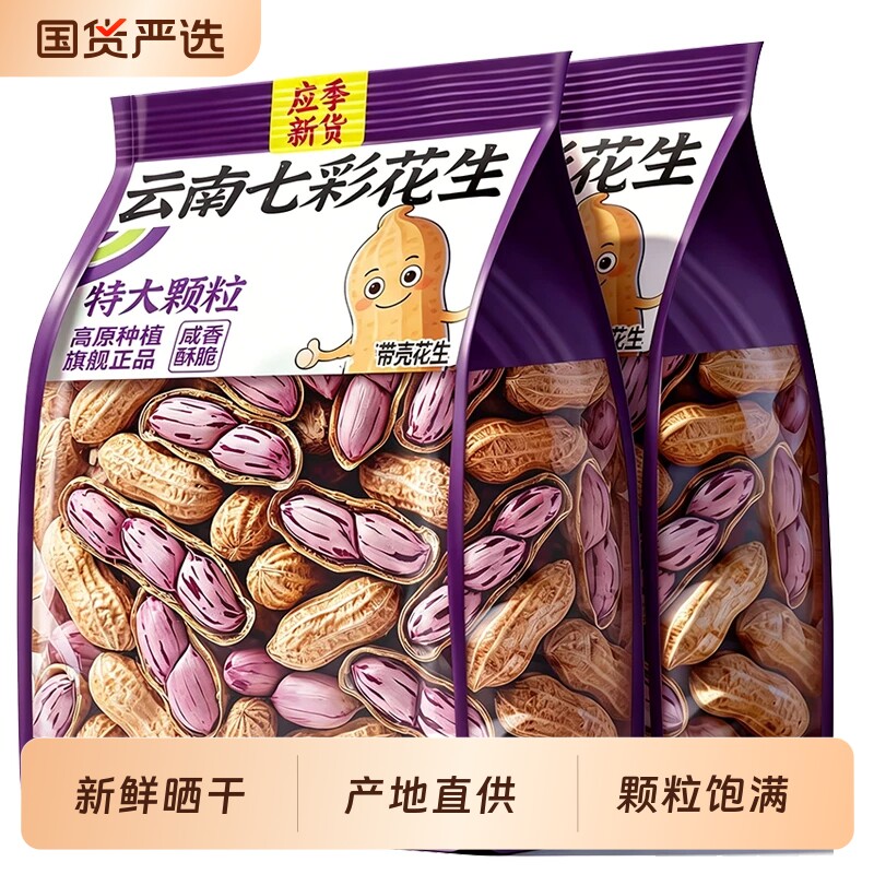 云南七彩花生2026新货晒干种籽生带壳熟五彩花生米新鲜原味去壳