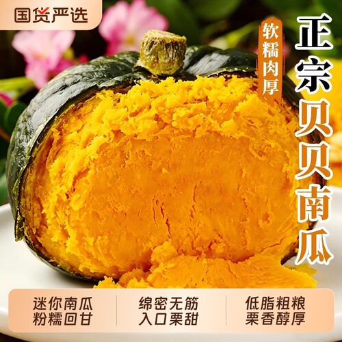 贝贝南瓜正宗新鲜板栗味小南瓜