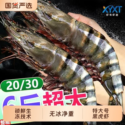 黑虎虾特大号新鲜大虾鲜活海鲜水产斑节虾对虾青虾九节虾速冻冷冻