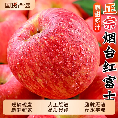 烟台红富士苹果新鲜水果现货速发