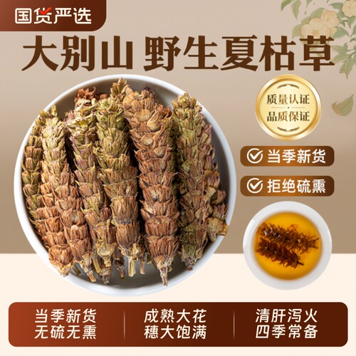 野生夏枯草中药材正品新货草本白毛夏枯球蒲公英清热散结茶泡水喝
