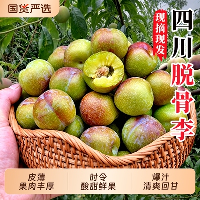 四川半边红脱骨李子新鲜水果5斤