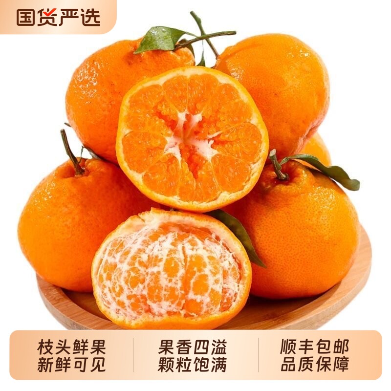 春见耙耙柑丑橘耙橘子甜新鲜汁水果当季整箱耙耙年货鲜果采摘大果