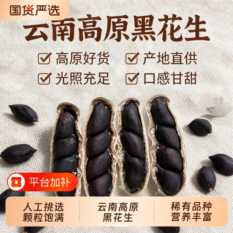 云南黑花生带壳黑皮花生农家自晒新货生吃紫皮富硒晒干原味