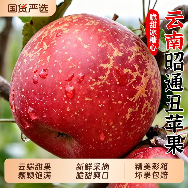云南昭通丑苹果冰糖心产地红富士新鲜水果应季当季整箱大绍通包邮