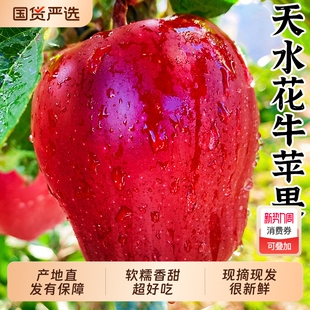 花牛苹果正宗甘肃天水10斤水果新鲜整箱当季 蛇果 糖心粉面丑应季