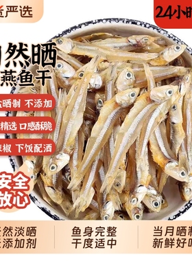 渔民自晒海燕鱼干小公鱼海燕鱼海鲜干货小鱼干小鱼仔小咸鱼干鱼