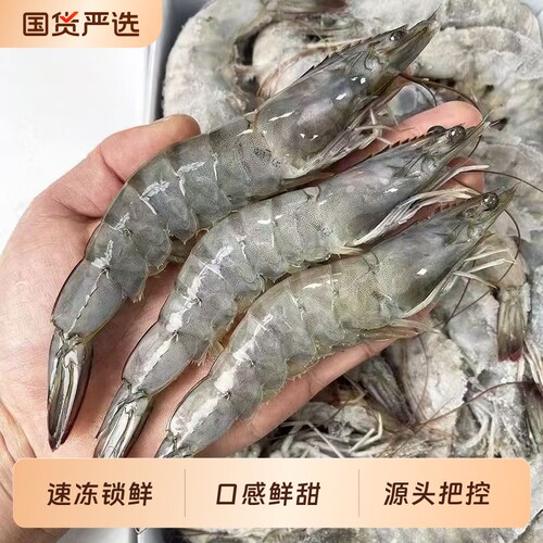 【香菇超级88】厄瓜多尔白虾2030盐冻大虾冻虾海鲜水产1500g/盒