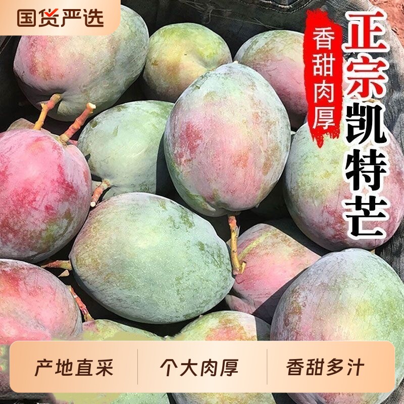 四川攀枝花凯特大芒果包邮新鲜现摘当季热带水果核小果肉Q弹大果