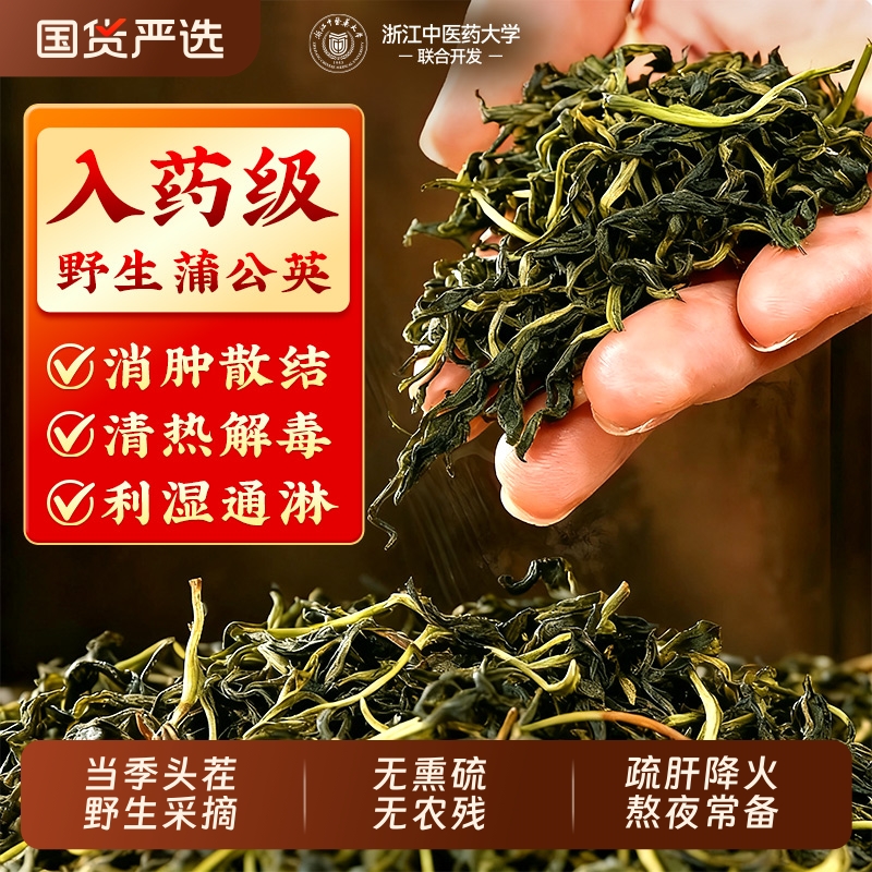 蒲公英茶正品特级野生散结茶官方旗舰店中药材疏肝降火新鲜泡水喝