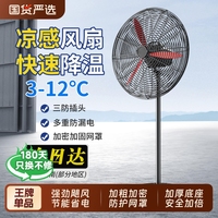 工業(yè)電風(fēng)扇強(qiáng)力落地扇牛角扇大功率工廠商用壁掛式風(fēng)扇新款大風(fēng)力