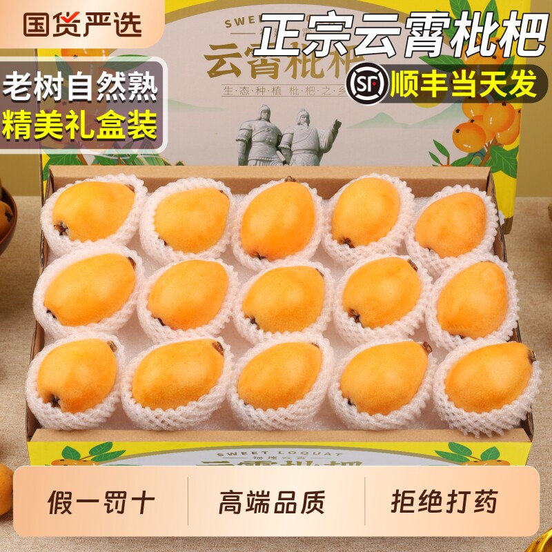 顺丰云霄枇杷新鲜水果现摘当季鲜果大果礼盒装琵琶整箱包邮5时令