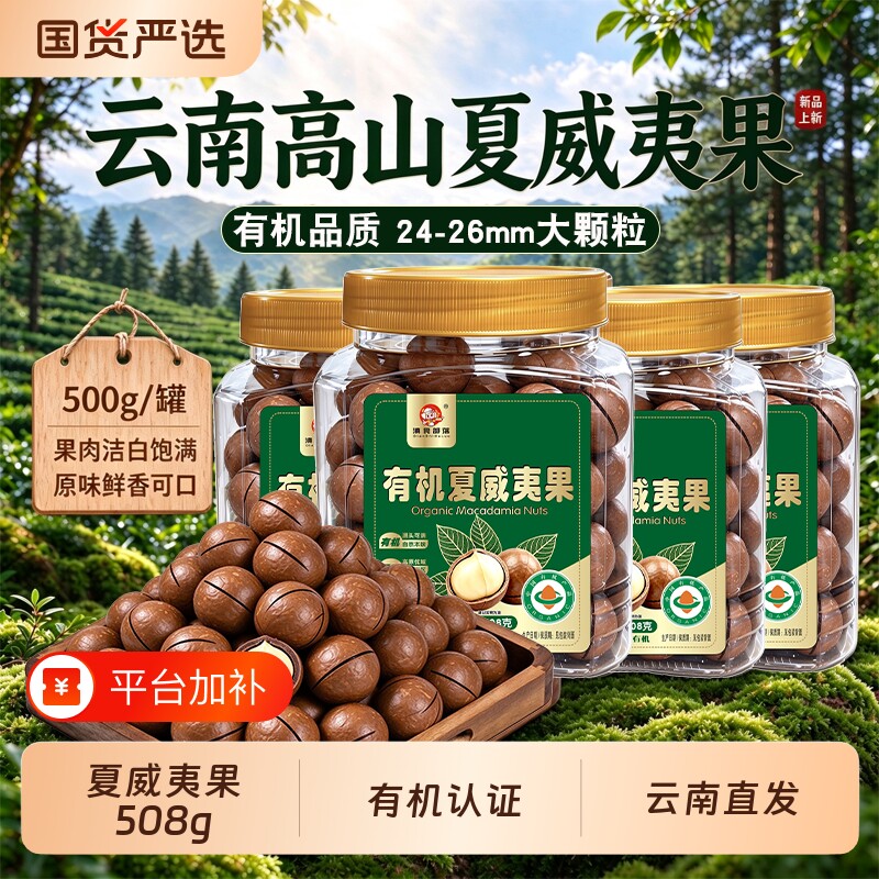 有机夏威夷果508g每日坚果炒货干果年货原味零食休闲零食大礼包