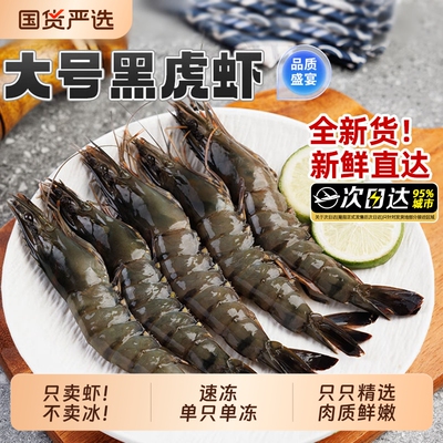 超大冻斑节虾海鲜水产基围虾