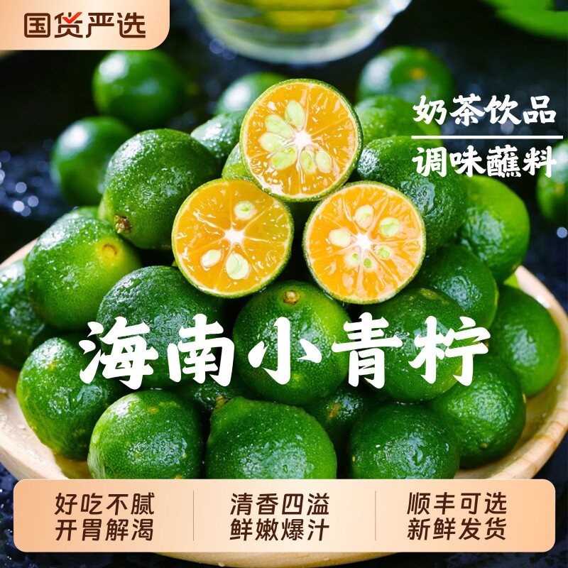 海南小金桔青桔新鲜小青柠檬青柑皮薄应季水果5斤金橘奶茶国货
