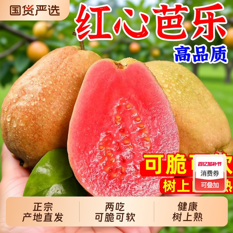 福建红心芭乐新鲜水果包邮大果脆甜胭脂红巴乐番石榴软心软糯自提