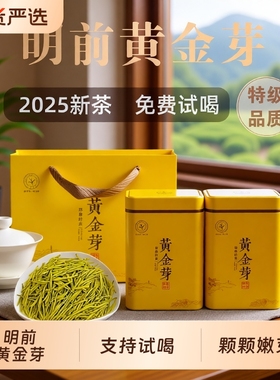头采明前黄金芽茶叶吉安茶树白茶高山绿茶礼盒罐装嫩芽浓香特色
