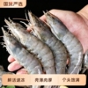 【冠鲜行动】厄瓜多尔白虾3斤净重2.8斤