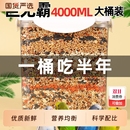 鹦鹉鸟粮饲料虎皮玄凤牡丹鸟食带壳黄谷子五色黍子小米混合专用粮