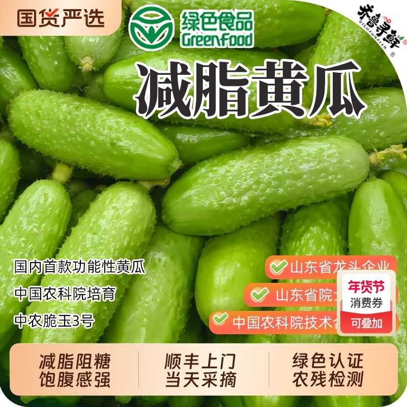 顺丰送上门-减脂水果黄瓜绿色中农脆玉3号生吃代餐即食国货农村现,水产肉类/新鲜蔬果/熟食,黄瓜,淘宝优惠券,粉丝福利购,淘宝优惠卷