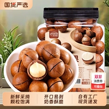 【卡小轻】夏威夷果大颗 500g