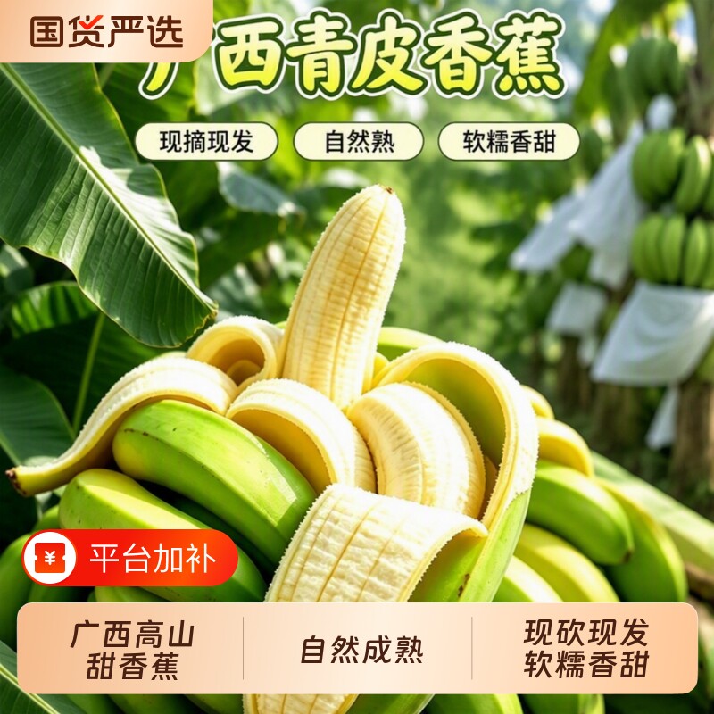 广西威廉斯香蕉5斤9斤新鲜高山青皮甜香蕉水果自然熟整箱包邮