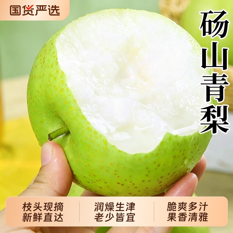 砀山梨酥脆青梨梨子酥梨当季水果