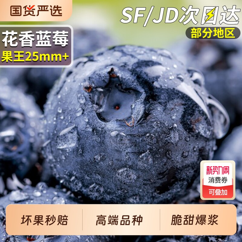 顺丰高山蓝莓王鲜果特大当季花香新鲜水果孕妇怡颗整箱甜大果生鲜