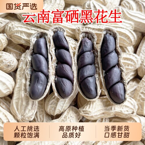 黑皮花生云南特产黑花生带壳富硒网红零食仁晒干新货普洱大颗粒