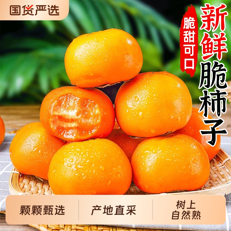 巧克力脆柿子新鲜水果应季一整箱包邮当季柿子冰糖心黄甜脆硬柿子