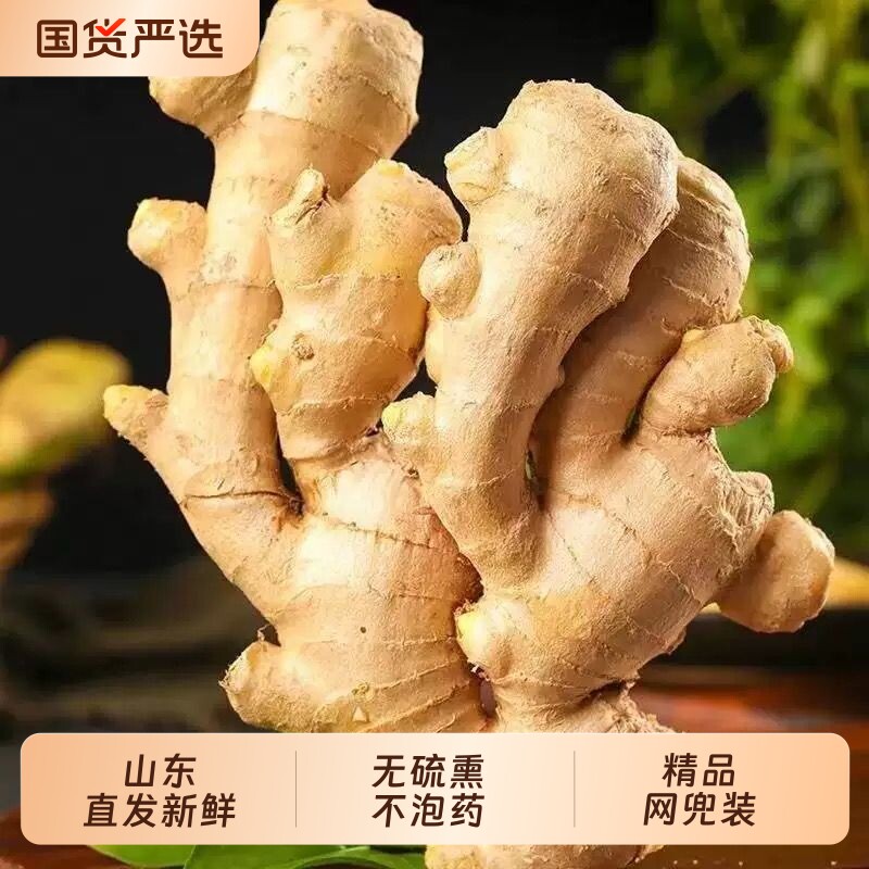 山东大姜老黄姜优质生姜月子姜风干姜现挖鲜姜新鲜大黄姜包邮种植