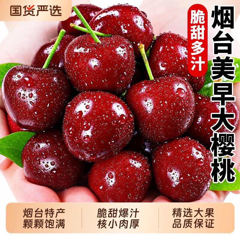 烟台大樱桃 新鲜国产车厘子山东整箱现摘端午送礼必备脆甜多汁