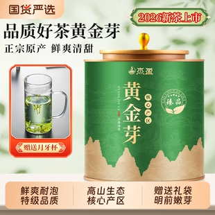 2026新茶黄金芽茶叶特级安吉奶白茶明前绿茶东方韵春茶官方旗舰店