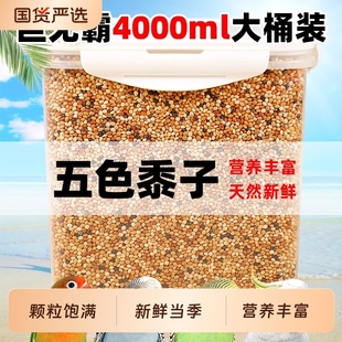 鹦鹉鸟粮饲料谷子牡丹虎皮玄凤粮食文鸟珍珠专用带壳五色黍子黄米