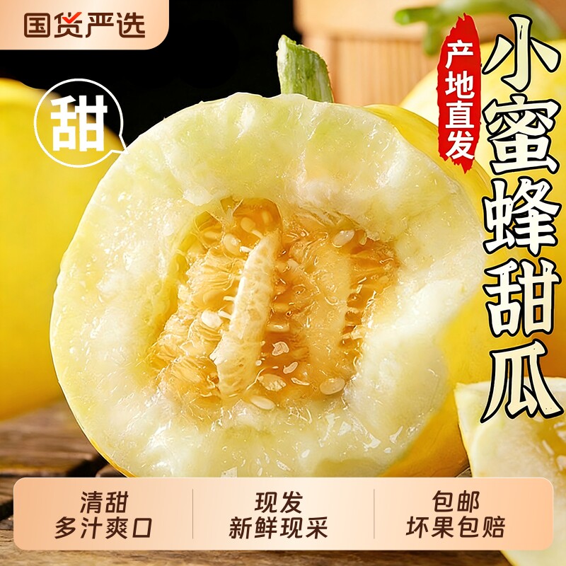 正宗小蜜蜂甜瓜山东星甜蜜罐早田脆甜瓜新鲜水果香瓜脆黄金瓜爆甜