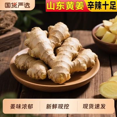 生姜山东大姜【超值二斤装】正宗老黄姜水洗风干无泥块姜姜母新鲜