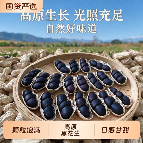 云南黑花生黑皮花生富硒黑花生带壳原味甜黑皮普洱特产2026新货