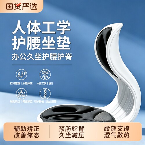 人体工学矫姿护腰坐垫防驼背久坐
