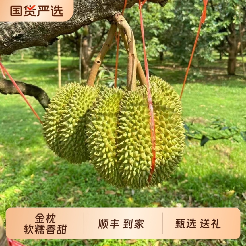 泰国进口金枕头榴莲5-6斤1个装带壳鲜果中秋节水果礼盒甄选送礼
