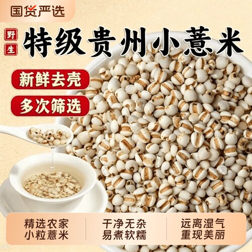 特级小薏米仁贵州兴仁薏仁米