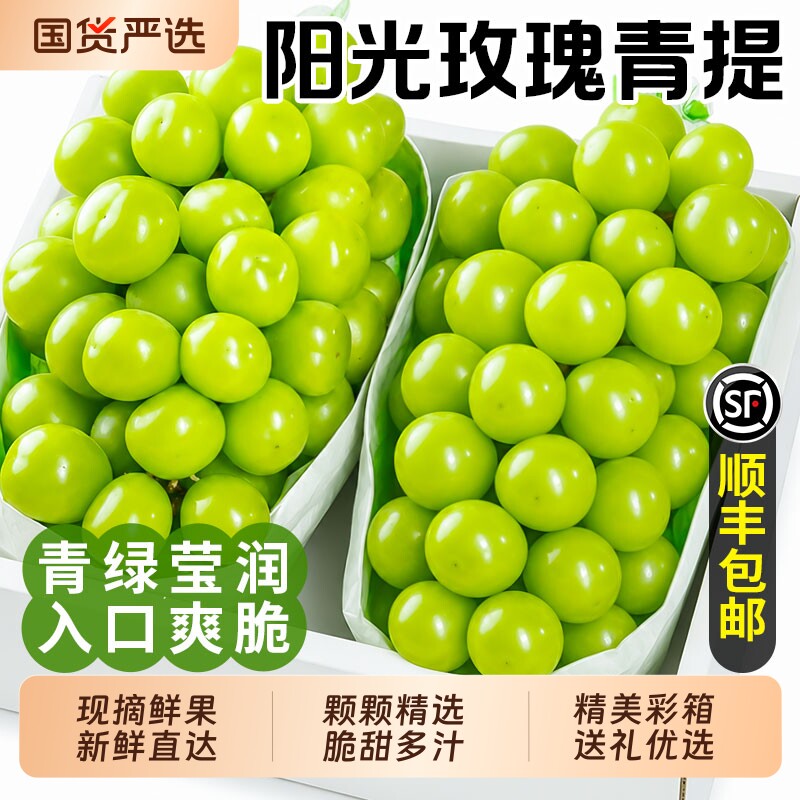 【阳光玫瑰青提5斤装】顺丰冷链图片