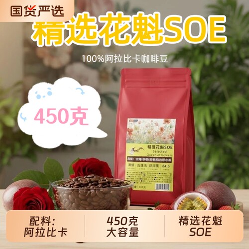 印顿花魁SOE阿拉比卡咖啡豆450g低酸风味佳新鲜烘焙浅烘手冲意式